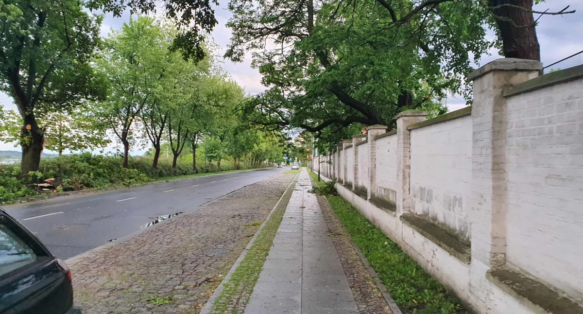 39-latka potrąciła 11-letniego rowerzystę we Włocławku