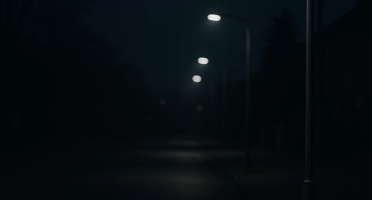 Część Włocławka bez oświetlenia – trwa wymiana lamp ulicznych