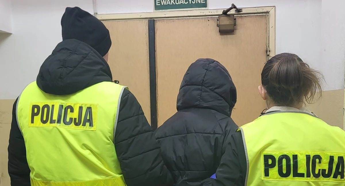 Seria uszkodzeń samochodów we Włocławku. Policja złapała sprawczynię