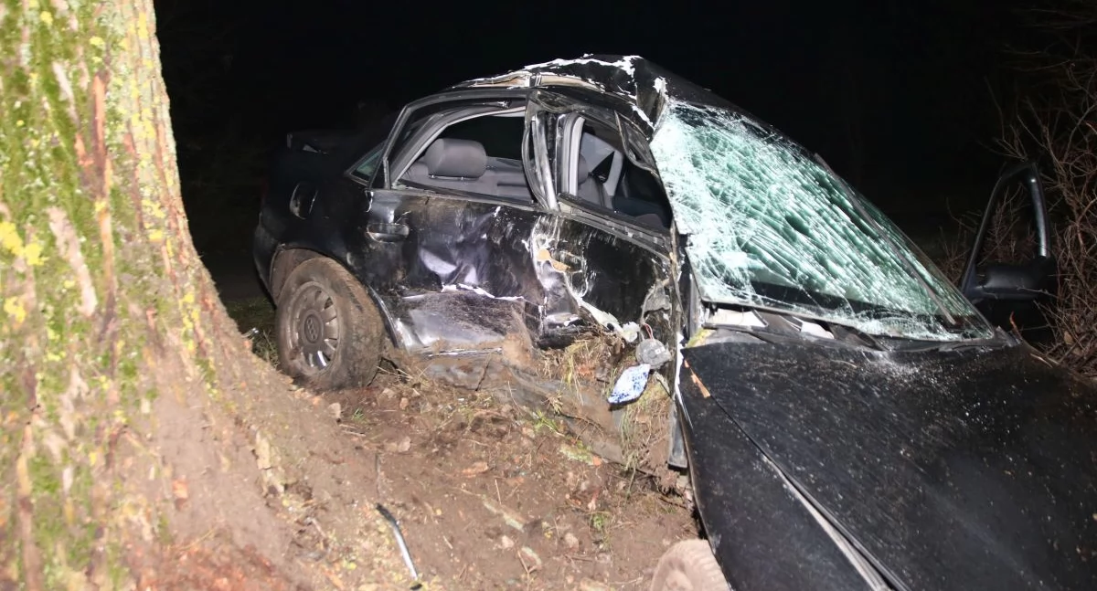 Tragiczny wypadek w regionie. Nie żyje 20-letni kierowca. Audi uderzyło w drzewo