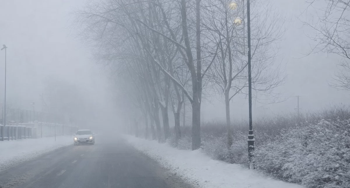 Gęsta mgła nad Włocławkiem. IMGW ostrzega kierowców i pieszych