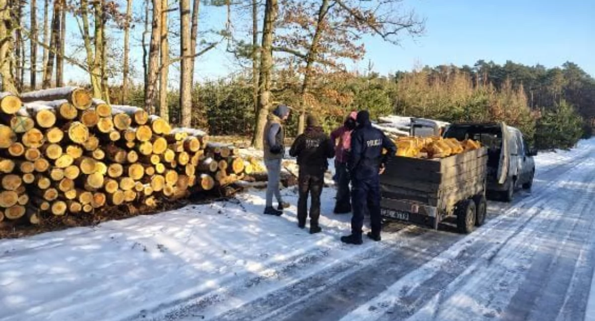 Straż Leśna i policja razem w terenie. Chodzi o drewno, śmieci i porządek