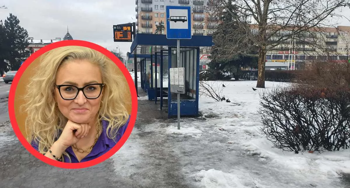 Fajans na przystankach i ulotki w restauracjach? Dwa pomysły radnej trafiły do ratusza