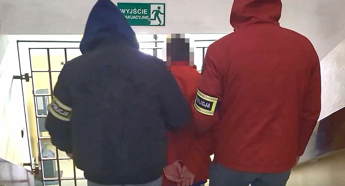 Marihuana we Włocławku. 29-latek trafił do aresztu na trzy miesiące