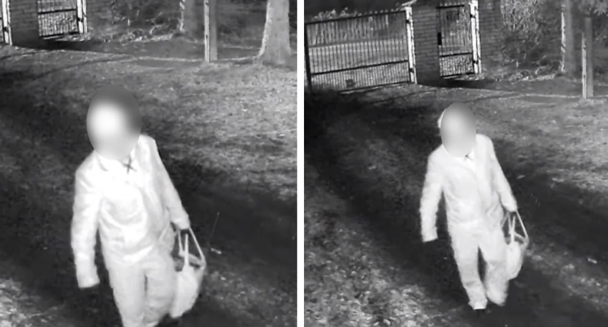 Nocne wejście na posesję pod Włocławkiem. Światło spłoszyło intruza