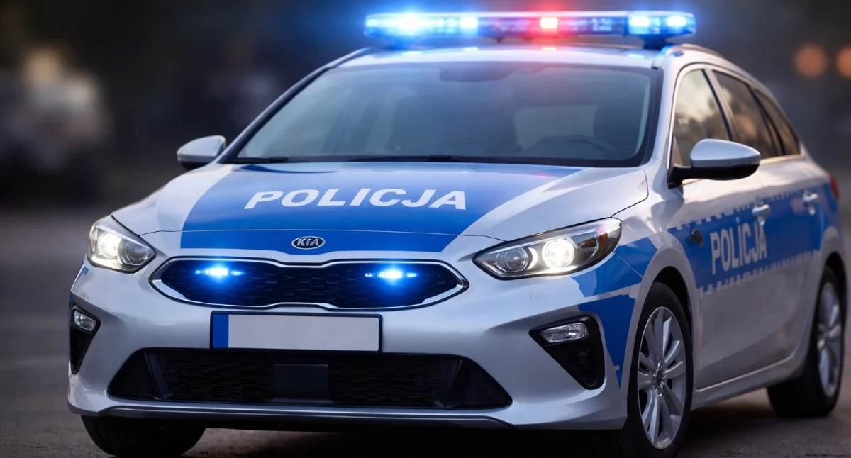 Brutalne pobicie w Aleksandrowie Kujawskim. Dwóch mężczyzn z zarzutami