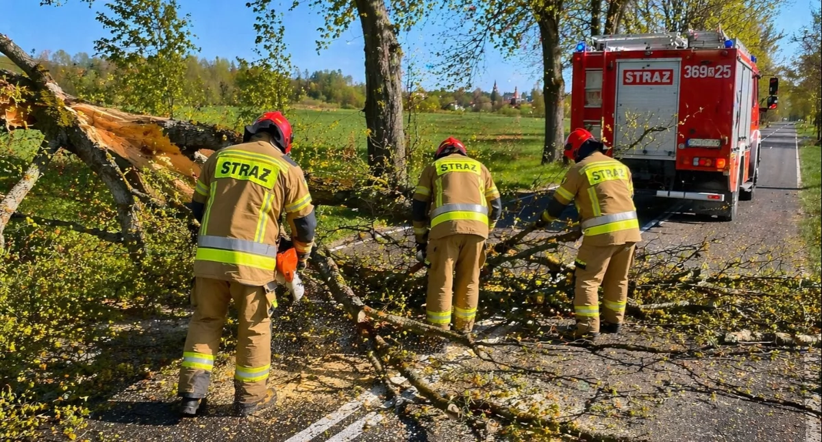 Wielkanoc pełna pracy dla strażaków. Strażacy walczyli z pożarami i silnym wiatrem