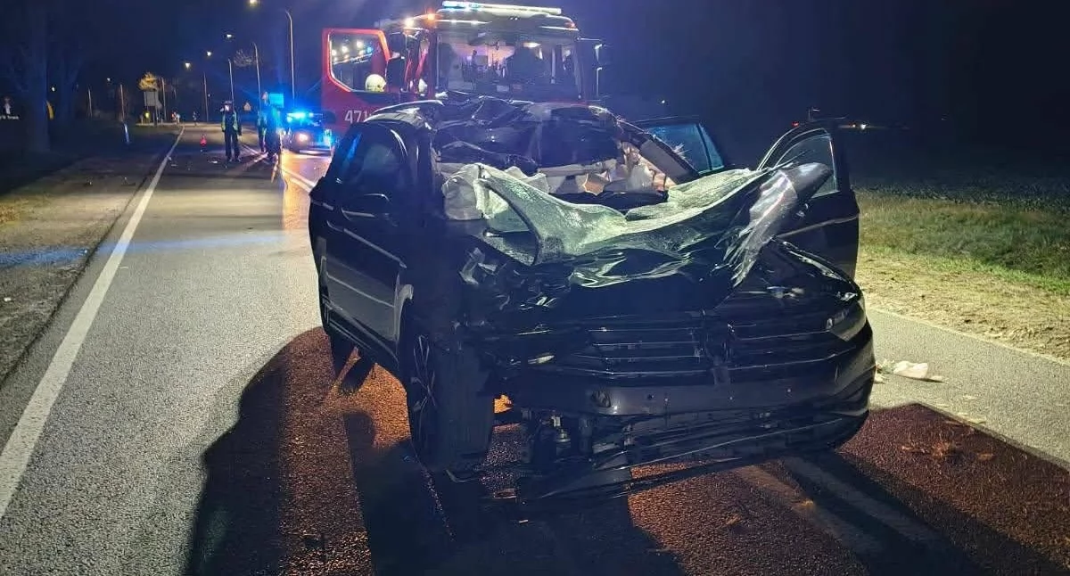 Zderzenie z łosiem pod Włocławkiem. 37-latek ciężko ranny