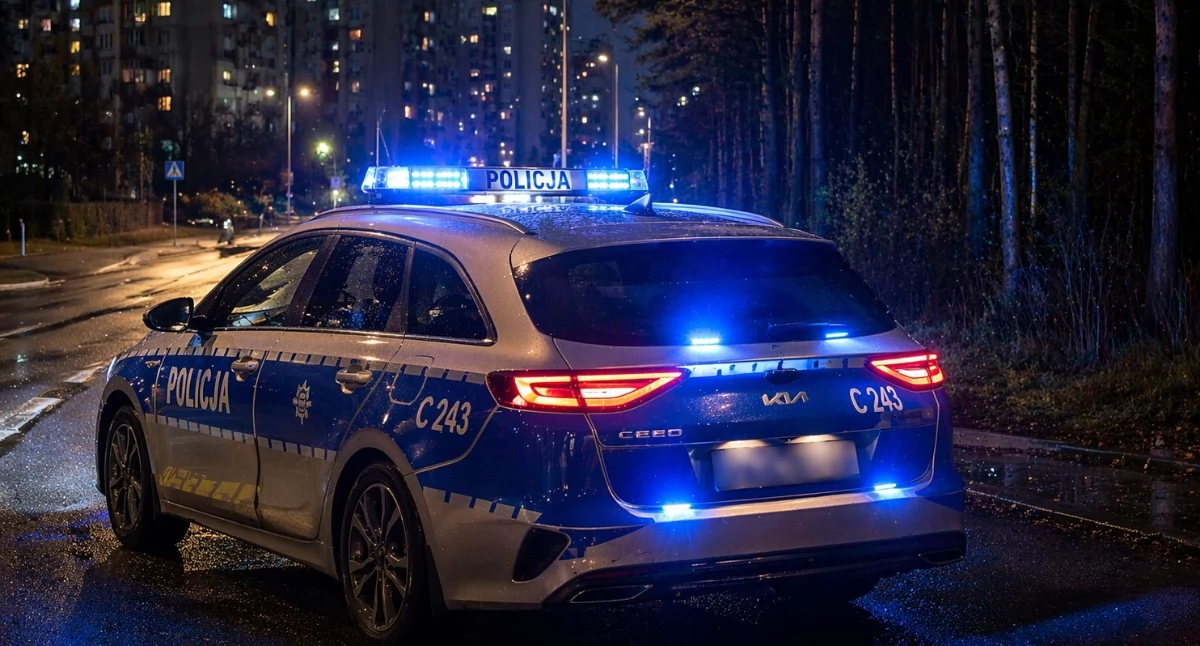 Radiowozy na osiedlu Południe i przy działkach. Wiadomo, co wydarzyło się we Włocławku