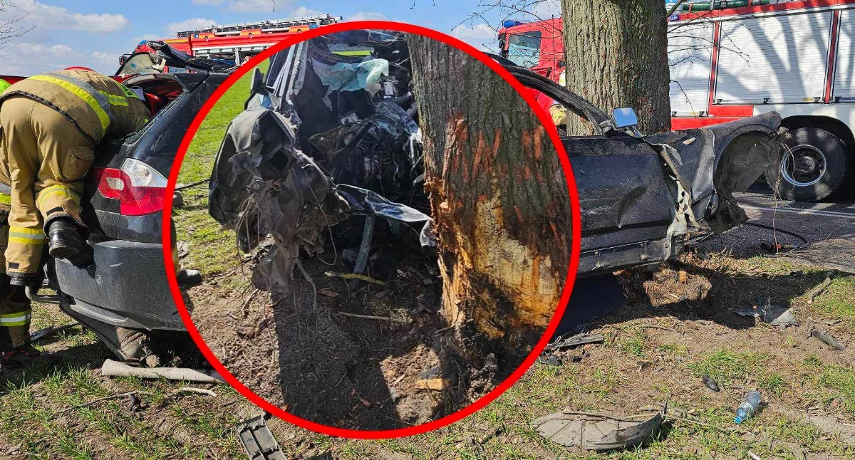 Tragedia w regionie. BMW uderzyło w drzewo. Nie żyje jedna osoba