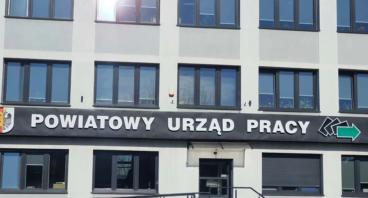 We Włocławku znikają biurowe etaty. Te zawody dadzą pracę nawet za 10 lat