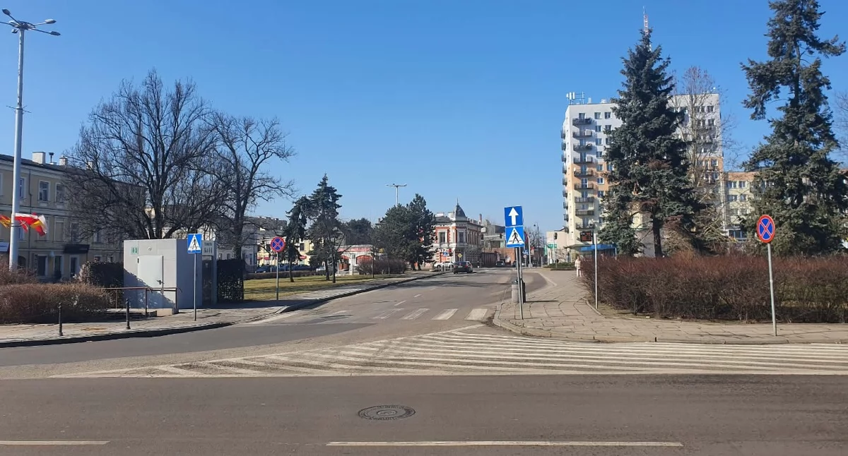 Włocławek rozpoczyna walkę ze szczurami. Znamy termin i lokalizację
