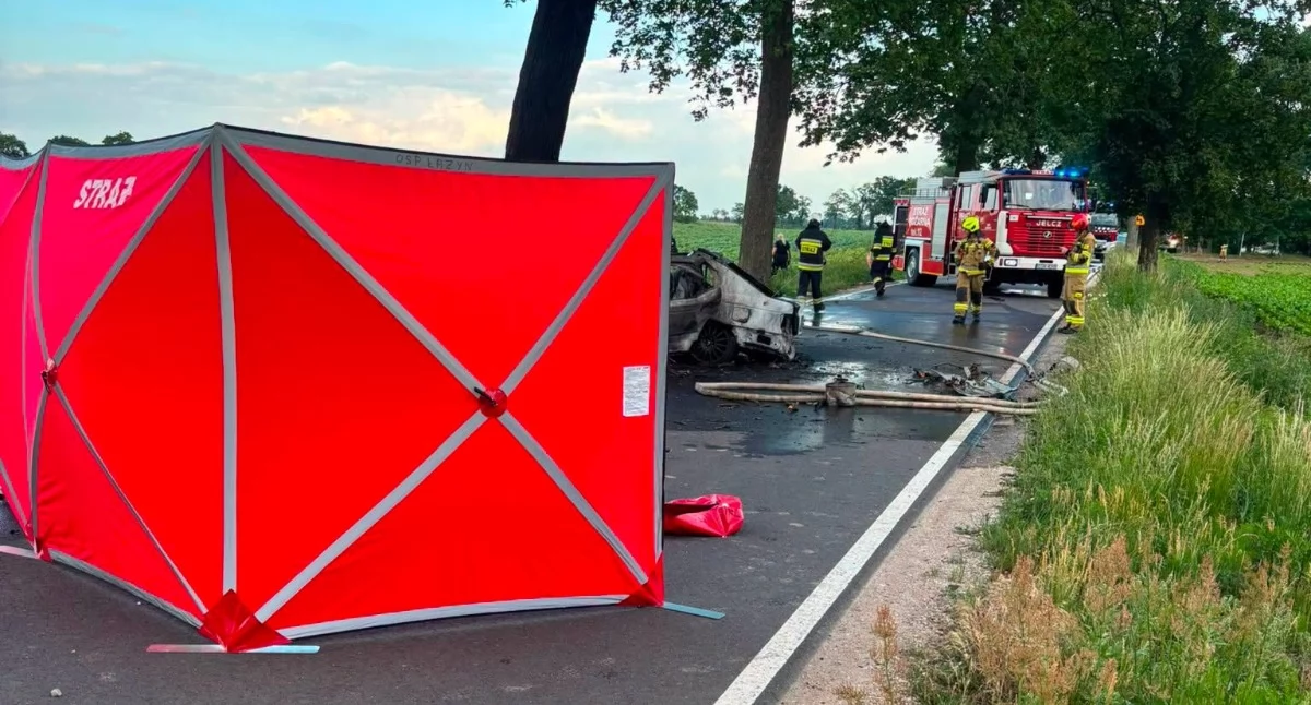 Tragiczny wypadek w regionie. Auto uderzyło w drzewo i stanęło w ogniu