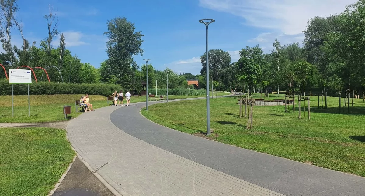 Parkowe alejki we Włocławku pod lupą. Radny pyta, czy miasto ma problem pod kontrolą