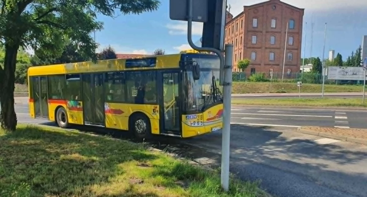Praca Włocławek. MPK Włocławek szuka osoby do planowania tras