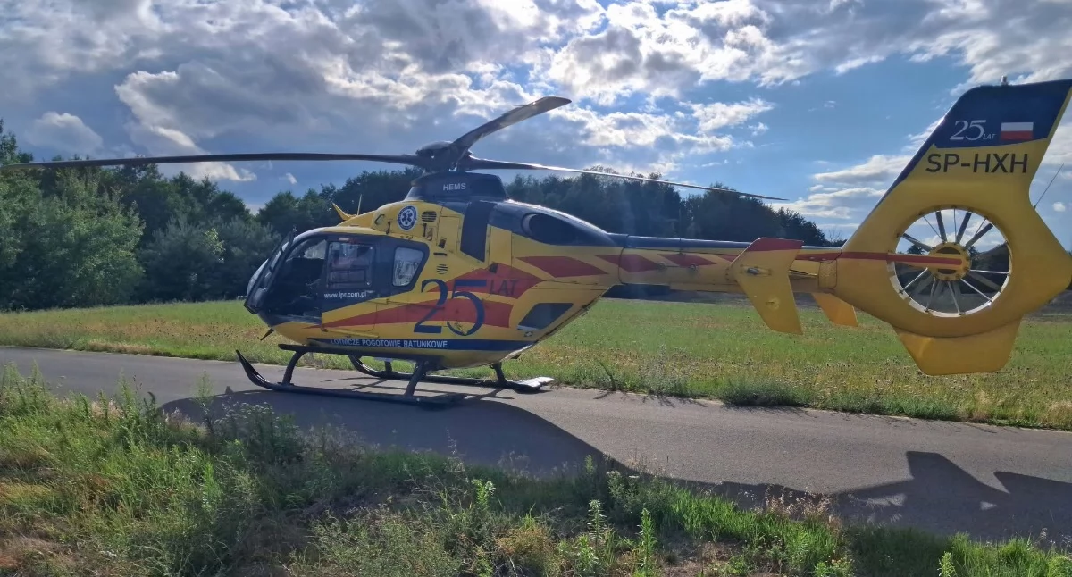 Szerszenie mogły być przyczyną dramatu. Akcja ratunkowa w powiecie włocławskim