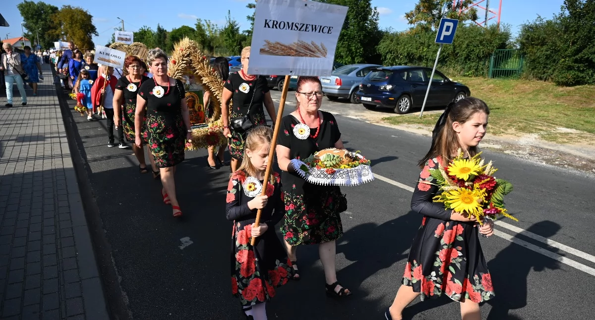 Dożynki 2026 w Chodczu. Jorrgus, Maxel i FolkShow na scenie. Znamy pełny program święta plonów