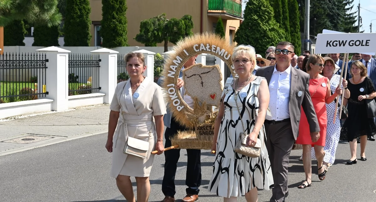 Dożynki 2026 w Lubieniu Kujawskim. Znamy gwiazdy i szczegółowy program wydarzenia