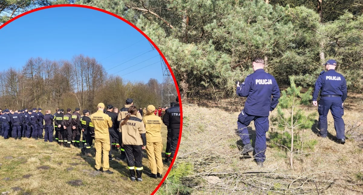 Grzybiarze znaleźli ludzkie szczątki w lesie. Wyniki DNA przyniosły odpowiedź