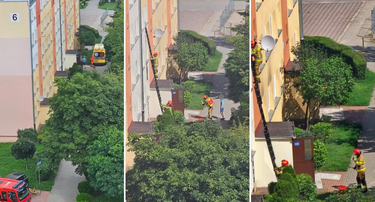 Akcja służb we Włocławku. Weszli przez okno i znaleźli kobietę