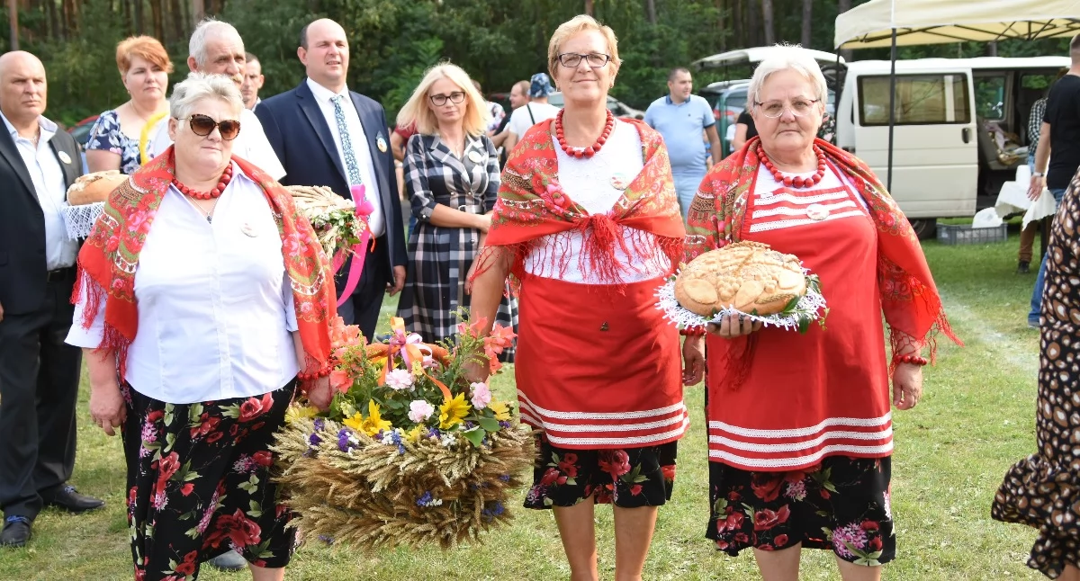 Dożynki Gminy Włocławek 2026. W Smólniku szykuje się wielkie święto plonów. Program