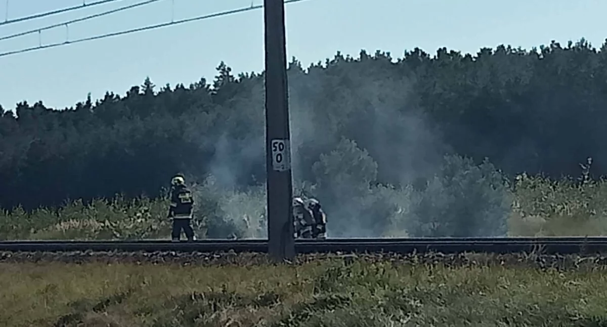 Pożar przy nasypie kolejowym. Helikopter i samolot zrzucały wodę z powietrza