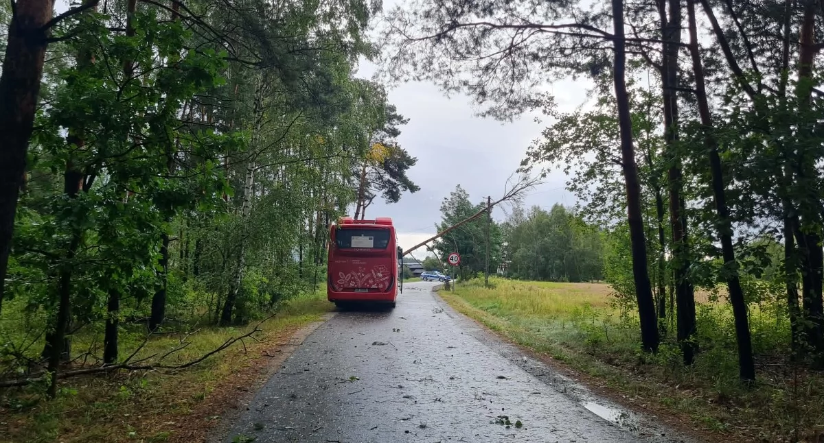 58 interwencji, zalana piwnica szpitala i połamane drzewa. Nawałnica uderzyła we Włocławek i powiat. Zdjęcia