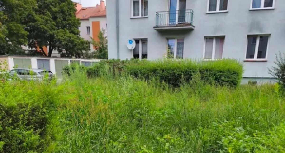 Trawa miała prawie 2 metry. Mieszkaniec poprosił nas o pomoc. Jest reakcja AZK