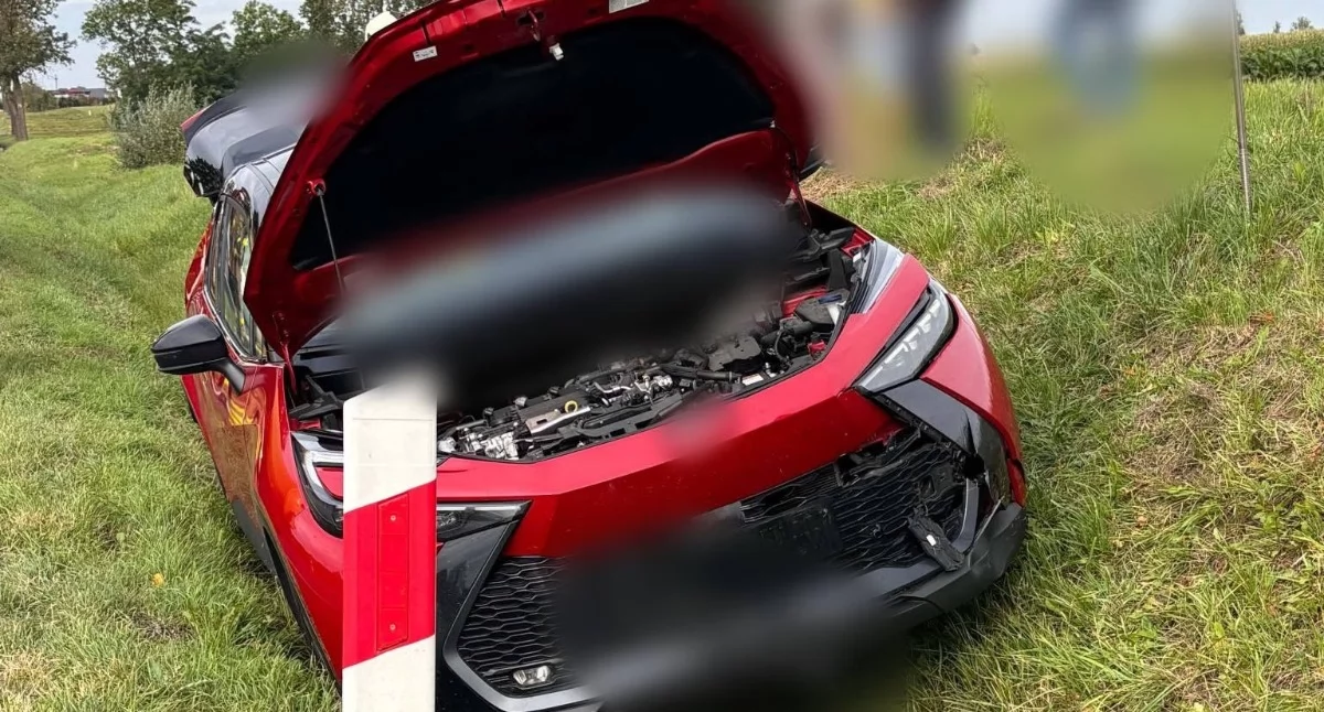 Zderzenie z sarną w powiecie włocławskim. Pomoc wezwano w nietypowy sposób