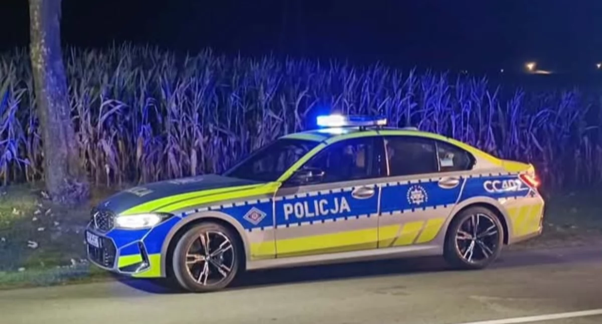 Dzik wybiegł prosto przed opla. Na miejsce wezwano kilka służb