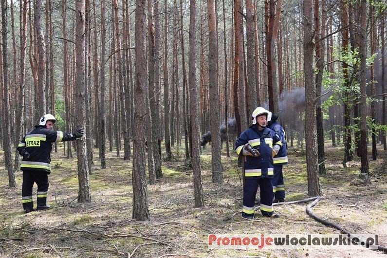 Manewry Strażackie 