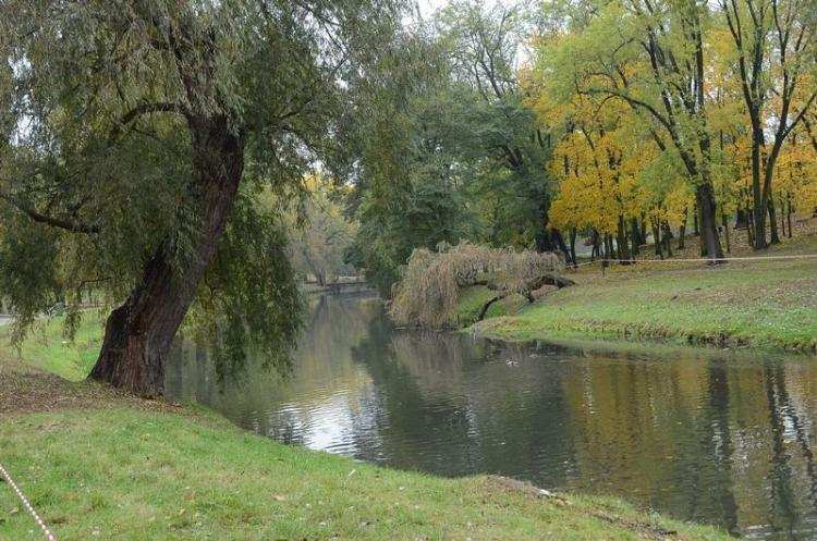 Stado kaczek wędrowało po ulicy Królewieckiej. Zajął się tym „Eko-Patrol”