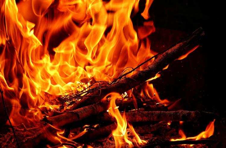 Zabawa przy ognisku w lesie. Dwaj nerwowi Włocławianie odpowiedzą za ...