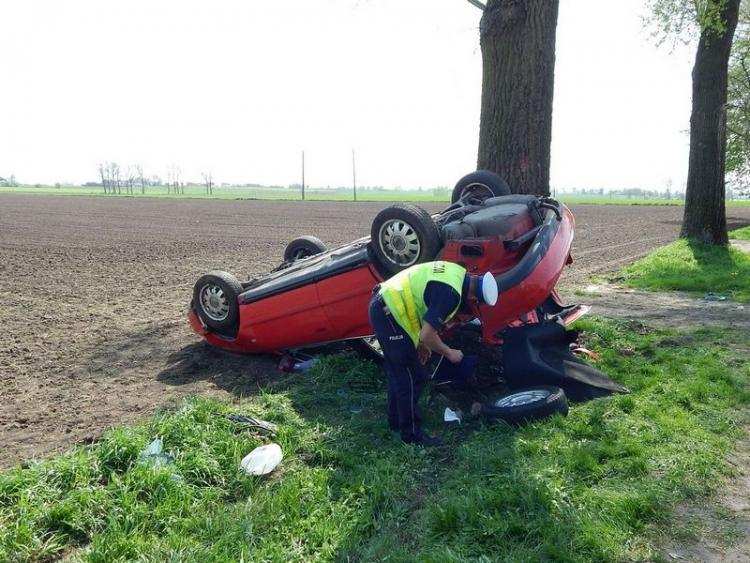 Audi uderzyło w drzewo i dachowało [ZDJĘCIA]