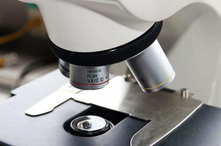 Miasto wyposaży pracownie przyrodnicze w czterech szkołach