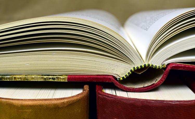 Przetrzymałeś książkę z biblioteki? Darują ci karę. Jest warunek