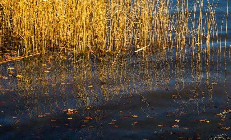 Tragedia we Włocławku. Wyłowiono ciało kobiety ze Zgłowiączki