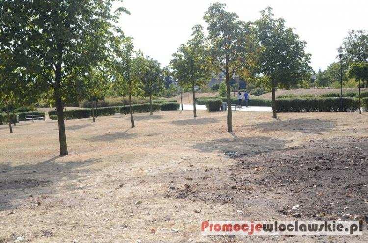Wypięknieje Park Łokietka we Włocławku. Jakie jeszcze szykują zmiany?
