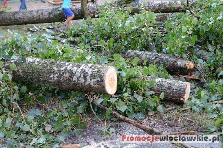 OSTRZEŻENIE: Meteorolodzy prognozują silny wiatr