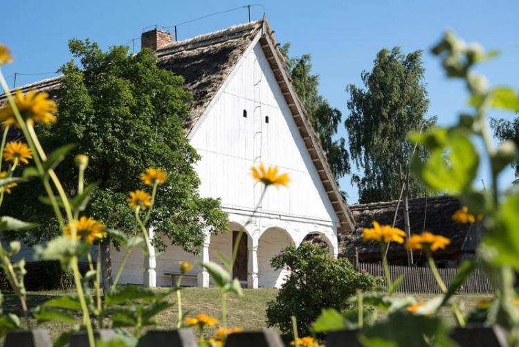 Pomóżmy naszej Kłóbce. Trwa głosowanie na 