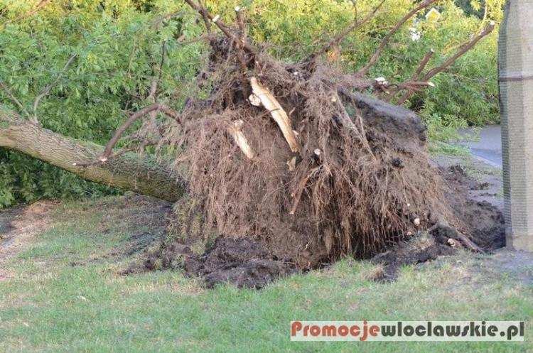 Burza przeszła nad Włocławkiem i okolicami. Jakie szkody wyrządziła?