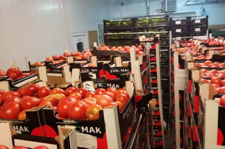 Nielegalnie przewoził w naczepie imigrantów z Afganistanu [REGION]