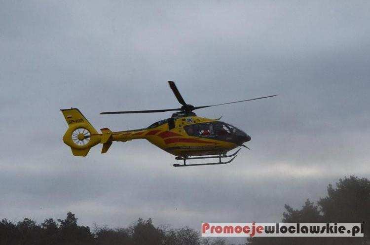 Pod Włocławkiem samochód uderzył w łosia. Cztery osoby w szpitalu: w tym trójka dzieci