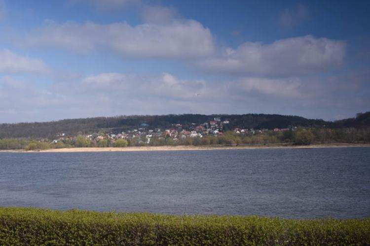 Włocławek walczy z meszkami. Dziś będą pryskać