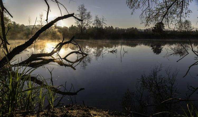 Tragedia nad wodą: W stawie utonął 2-letni chłopczyk