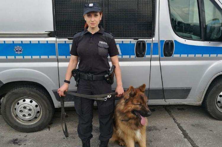 Co za pies! Odnalazł wraz z przewodniczką zaginioną kobietę