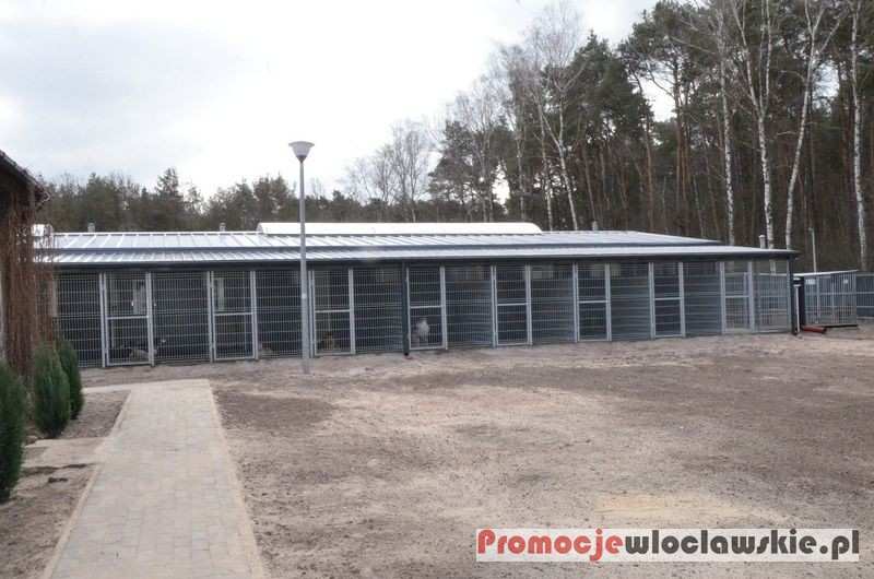 Psy ze schroniska mają nowy pawilon 