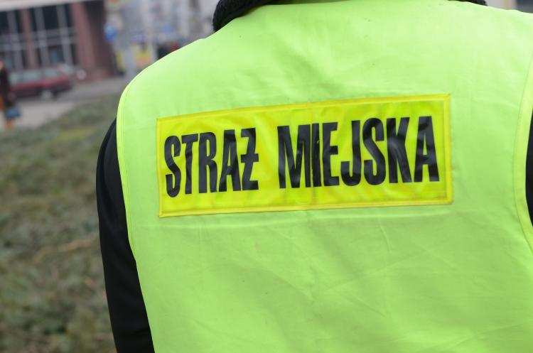 Straż miejska we Włocławku wyruszy na kontrole. Będą sprawdzać...
