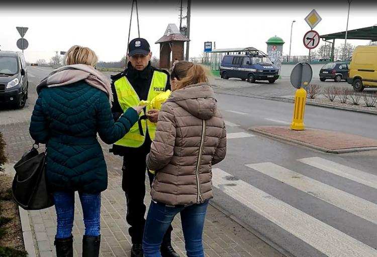 Piesi wraz z kierowcami pod lupą policji