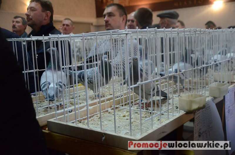 Jubileusz 40 lecia PZHGP Okręg Włocławek w Kowalu